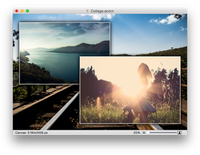 Make collages of your favorite moments.