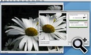 A ton of filters are included in Acorn