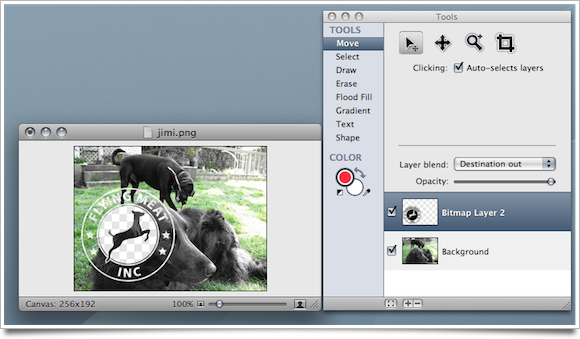 ppicture