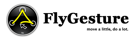 FlyGesture